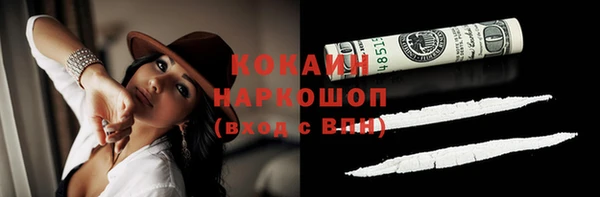 прущий лед Каменка