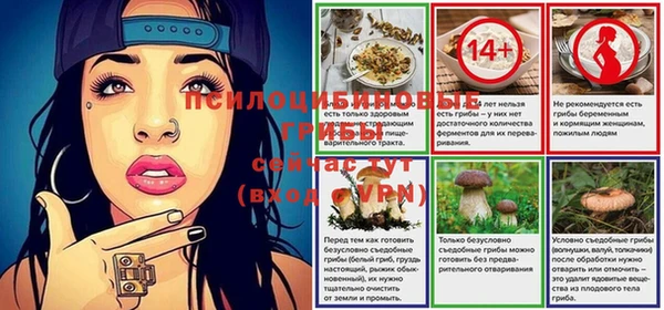 мдма Каменногорск