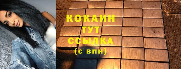 прущий лед Каменка